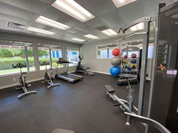 Free weights